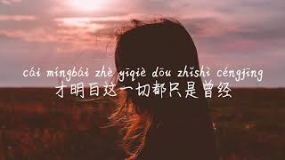 【最初的记忆-徐佳莹】ZUI CHU DE JI YI-XU JIA YING/TIKTOK,抖音,틱톡/병음가사,拼音歌词, pinyin lyrics/광고 없음, No AD,无广告