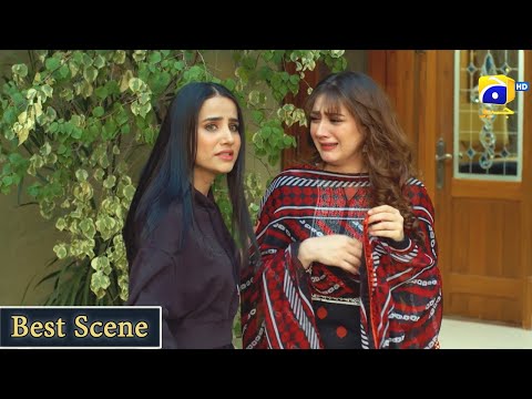 Grift Episode 79 || 𝗕𝗲𝘀𝘁 𝗦𝗰𝗲𝗻𝗲 𝟬𝟵 || Ali Abbas - Saniya Shamshad || Har Pal Geo