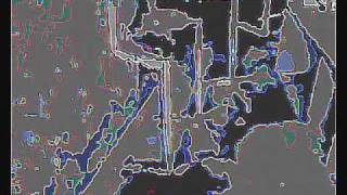 Muslimgauze - The Sari of Cholera