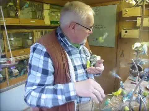 2017 11 27 Der WEllifluestererfilm des Tages