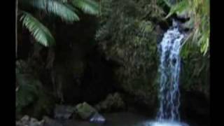 Biomes