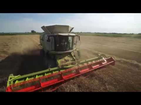 CLAAS In Campo 2016 - La più grande mietitrebbia CLAAS in Italia