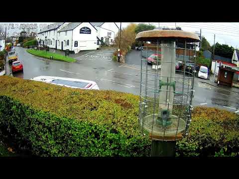 Woodbury Bird Feeder thumbnail