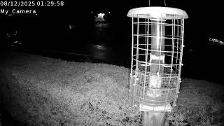 Woodbury Bird Feeder