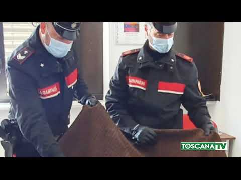 2021-03-24 PISTOIA - RUBA NELLA DITTA DOVE LAVORA E FUGGE, ARRESTATO