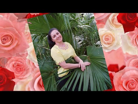 Sheila Torino, atendendo pedido, hino 209, HINOS CCB.