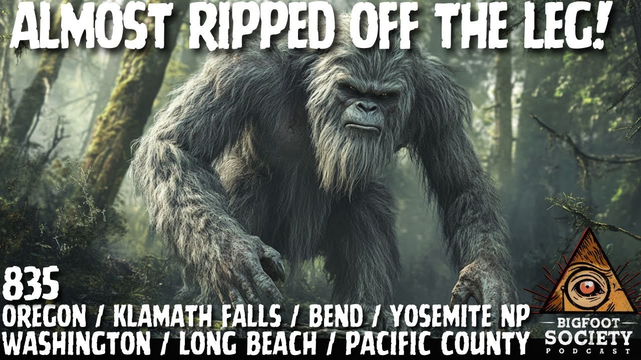 Ripped Its Leg Off: Bigfoot Attack in the Woods | Washington