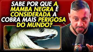 What is the most dangerous snake in the world? Richard Rasmussen and biologist Henrique