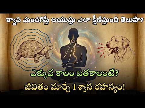 శ్వాసే శక్తి! పురాతన ఋషులు చెప్పిన మనసుపై గెలిచే మహా రహస్యం || SANATHANA LIFE