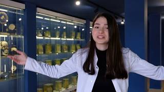 Традиции и качество воспитания студенческой молодежи в ДГМУ