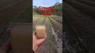 Download lagu video lengkapnya cek di diskripsi  cara spontan menaikkan ph/menetralkan ph #shorts mp3