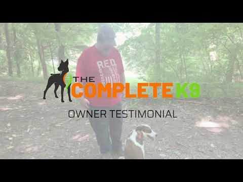 The Complete K9 video.