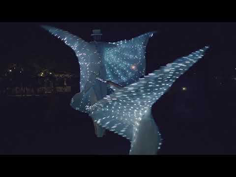 Farfalle luminose Trampoliere danzatrice Spettacolo matrimonio