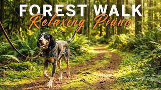 1 Hour Relaxing Dog-Walking in the Forest | Nature Sounds with Calming Piano Music
