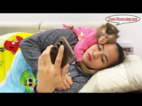 Mom... Please hug me! Monkey Lyly begged her mom to hug her instead of looking at her phone.