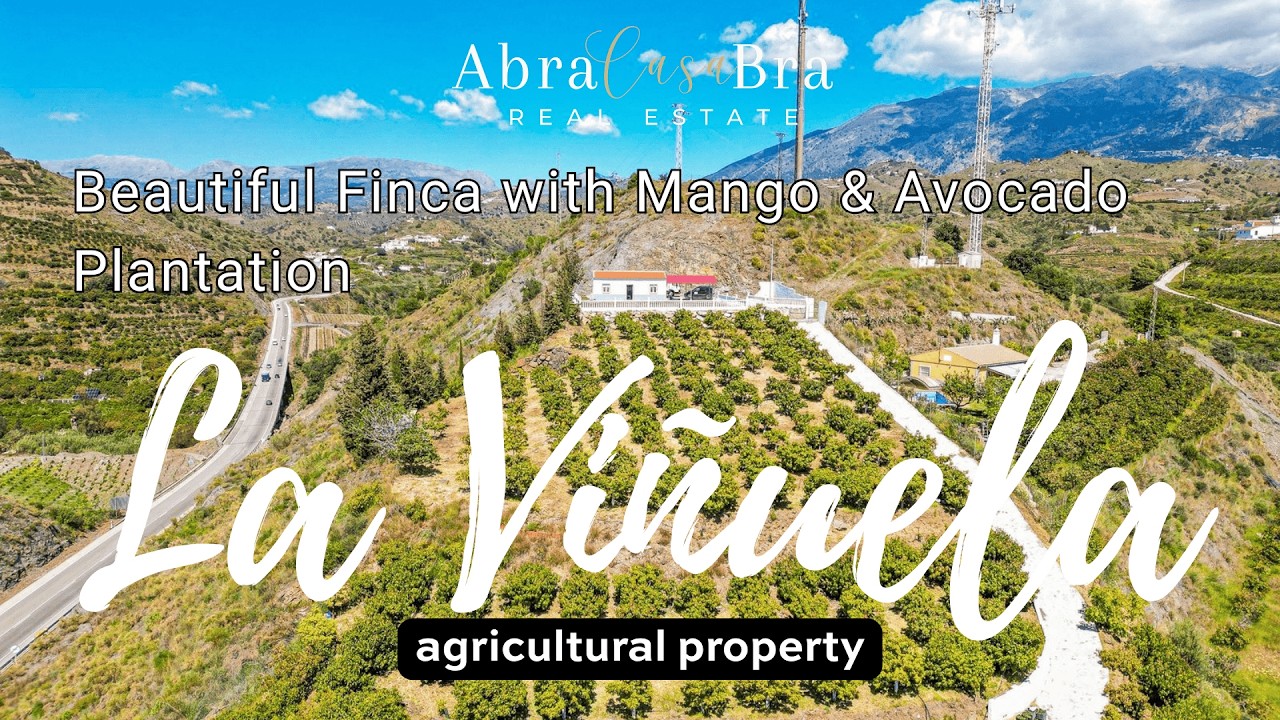 Beautiful Finca with Mango & Avocado Plantation and Stunning Sea Views Near Vélez-Málaga