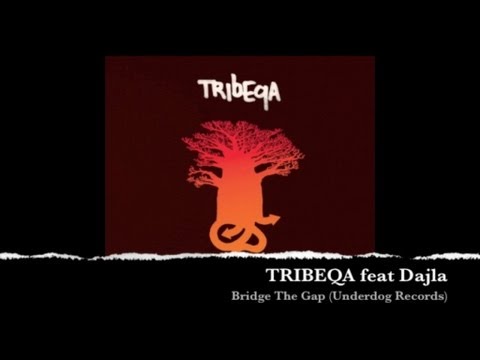 Tribeqa - Tribeqa