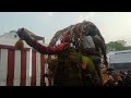 வைகை ஆற்றில் கள்ளழகர் வந்திறங்க போறா