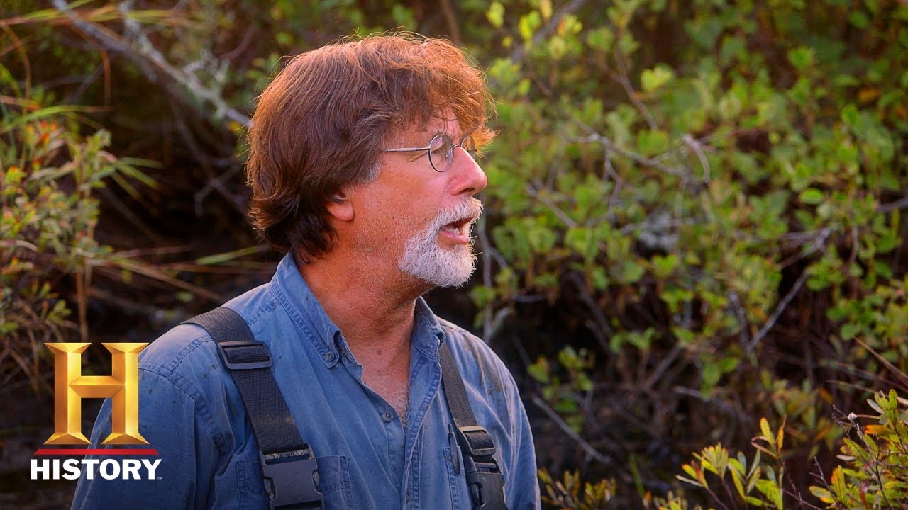 YouTube Thumbnail Downloader FULL HQ IMAGE