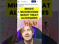Magic Mushrooms Might Treat Alzheimer S Aging Alzheimers Longevity