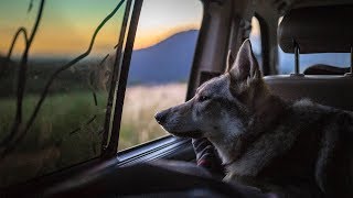 Bake Until Golden - Paper Kites (Lyrics Video)