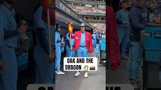 Kazuma Okamoto and our new dugout friend ???????? #MLB #Toronto #BlueJays