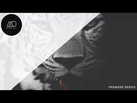 PREMIERE: Silence Path - Nebula (Quatri Remix) [Loot Recordings]