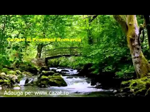 Cazare Curtea, Timis - Cazat.ro