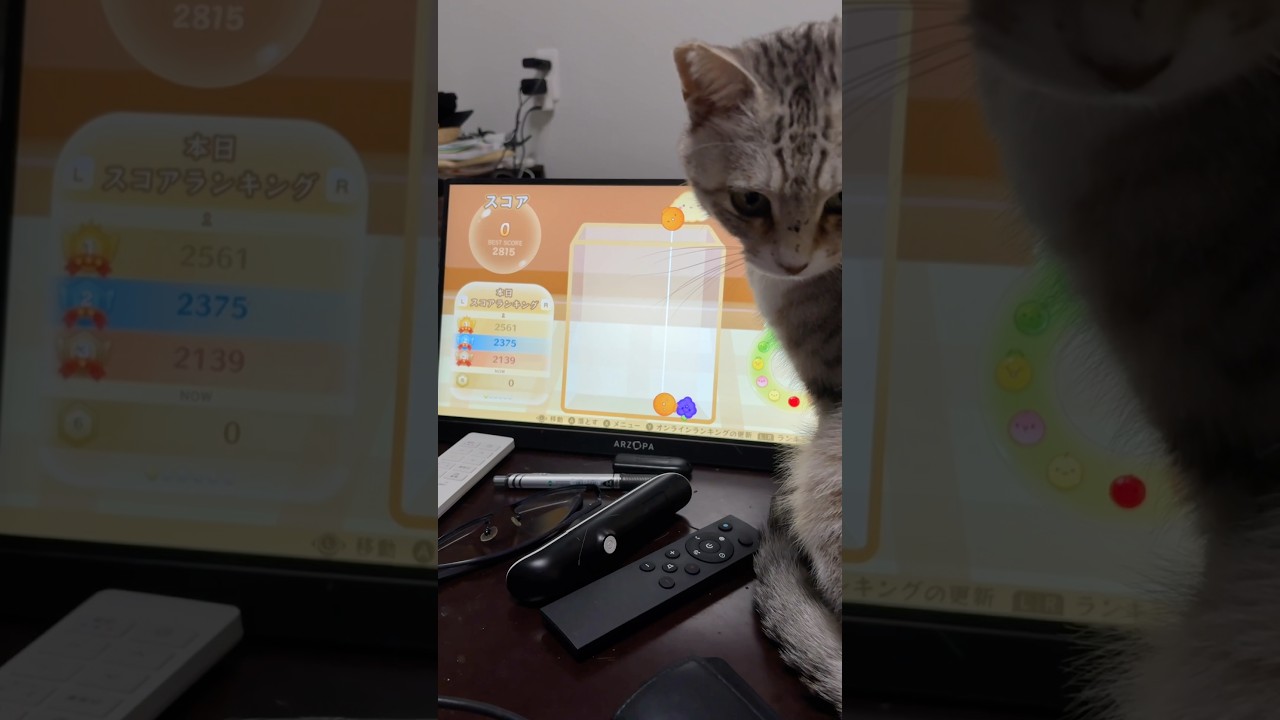 仕事の邪魔してかまってほしい