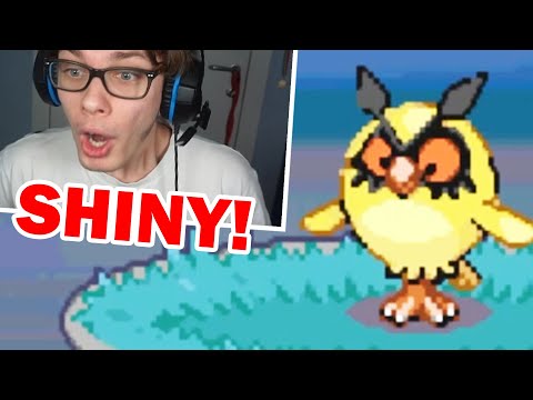 REAZIONE A HOOTHOOT SHINY SU POKÉMON SOUL SILVER CON SOLO DITTO