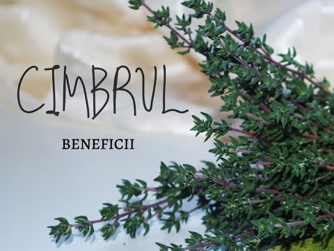 lungimea penisului într o stare non excitare