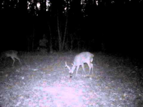 2012 01/06 Game Camera