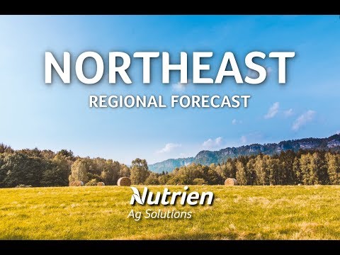 Northeast Regional Forecast - March 22nd 2019