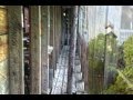 Ned Evett | Official Video for the song "Treehouse" from the album "Treehouse"