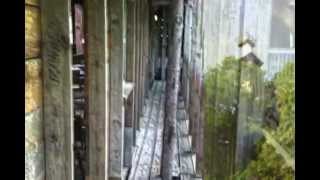 Ned Evett | Official Video for the song "Treehouse" from the album "Treehouse"