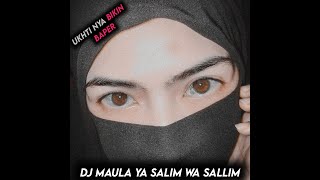 Download lagu story' WA ukhti cantik || dj Maula Ya Salim Wa Sallim mp3