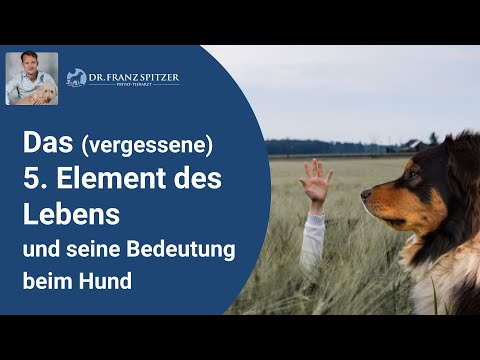 Organic Sulphur: The (forgotten) 5th Element of Life and its Importance for Your Dog