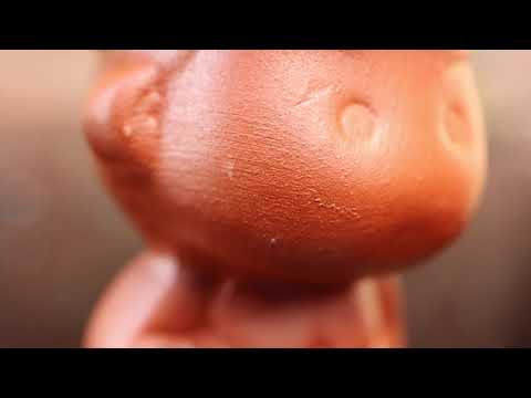 Experiment der Woche Folge 145