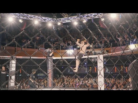 Warrior Series: CW80