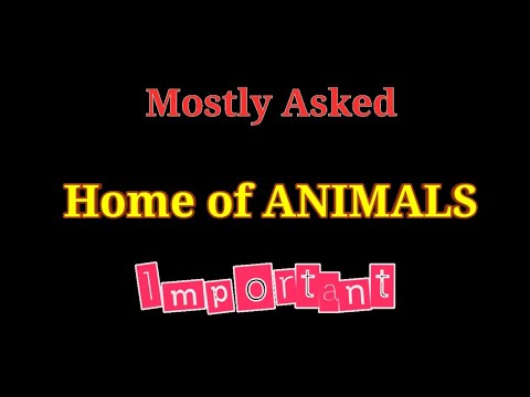 Home of Animals | Er. Mridul Yogi