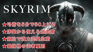 【SKYRIM】スカイリムを最高に楽しむための、最効率な序盤の進め方【解説】