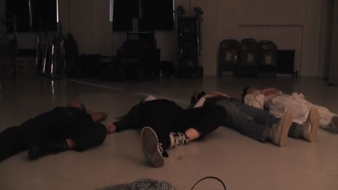 the boysenberry camcorder