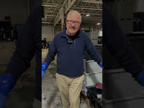 Hake at the Portland Fish Exchange