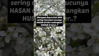 Download lagu Mengapa Rasulullah SAW sering mencium cucunya HASAN di bibir HUSAIN di leher..!? mp3