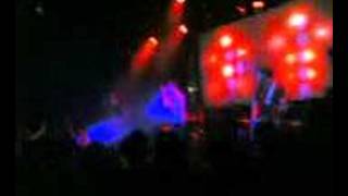 binary love the rakes