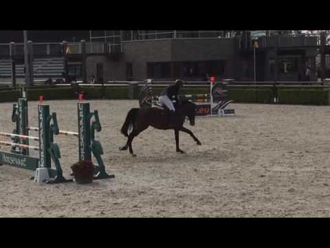 Untouchable x Olanda v. LIBERO.  5 YEAR