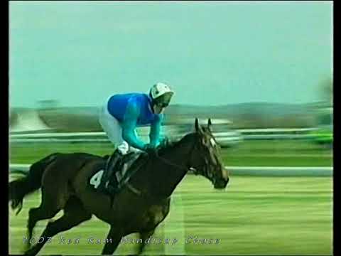2003 Red Rum Handicap Chase Golden Alpha