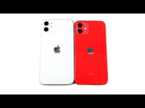 Should You Buy iPhone 11 or 12?