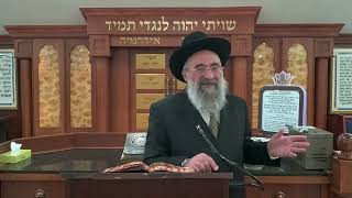 זהירות מביצה קלופה שום קלוף ובצל קלוף שעבר עליהם הלילה (הרב יצחק ישראלי) - התמונה מוצגת ישירות מתוך אתר האינטרנט יוטיוב. זכויות היוצרים בתמונה שייכות ליוצרה. קישור קרדיט למקור התוכן נמצא בתוך דף הסרטון