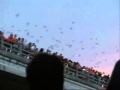 Khonnor - Blindness Bats